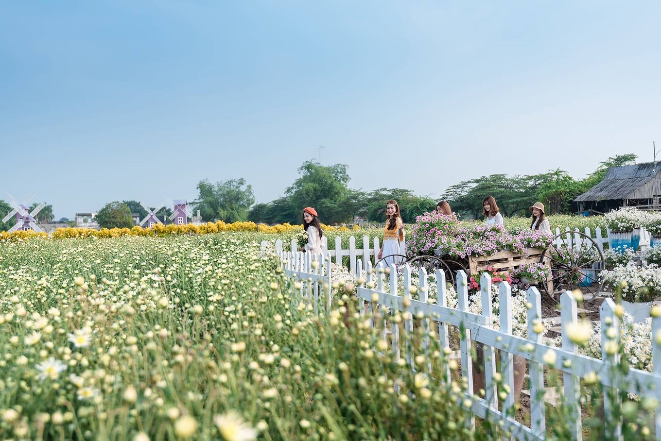 Địa điểm chụp ảnh cưới lãng mạn tại Việt Nam.