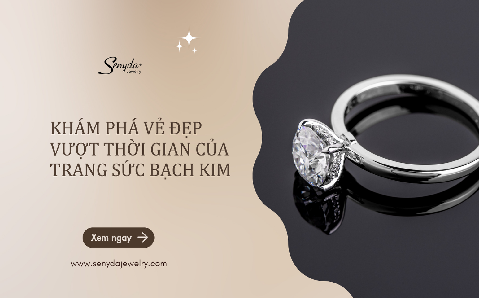 trang sức bạch kim
