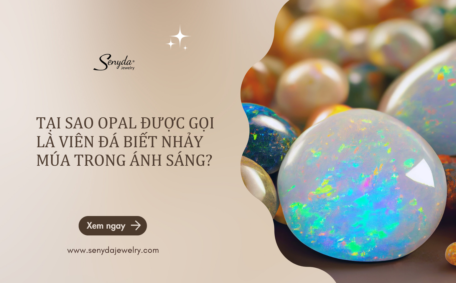 viên đá biết nhảy múa